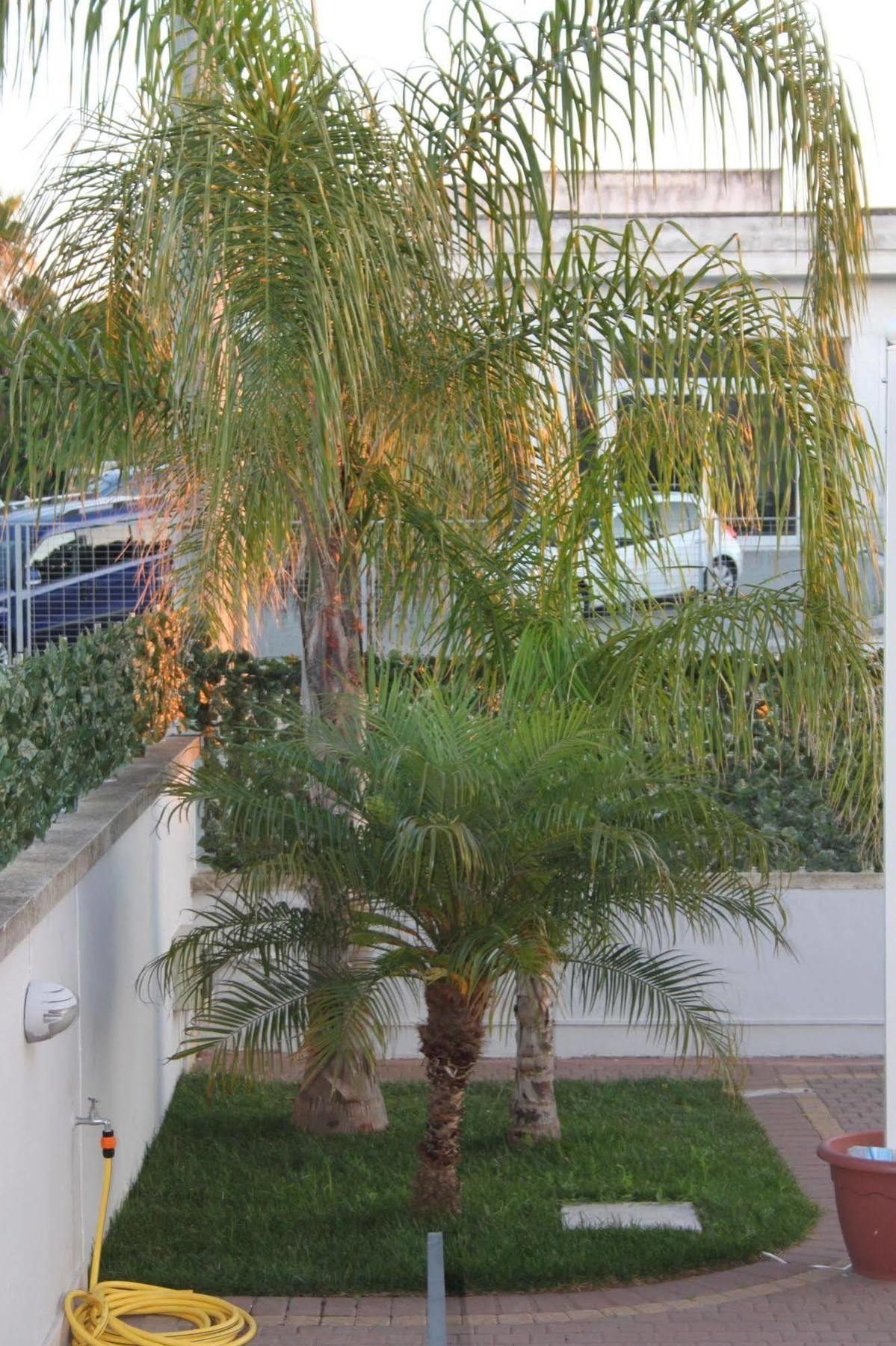 Kalinifta Residence Carpignano Salentino Exterior photo